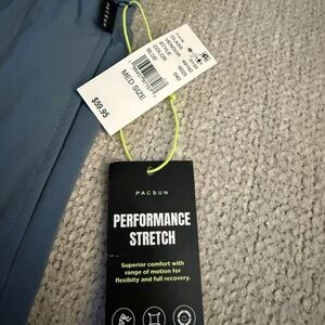 PacSun Blue Performance Stretch Trousers